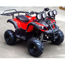 Made in China Jinyi Marke 110cc Sport Quad ATV für Erwachsene und Kinder (JY-100-1B)